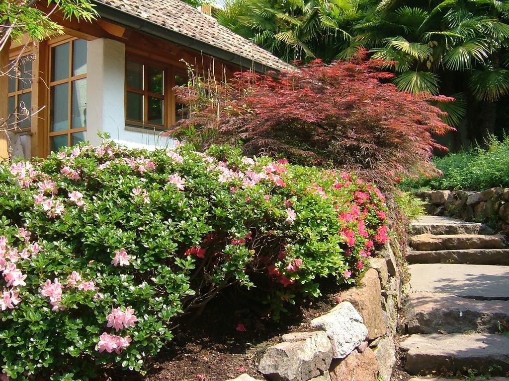 Villa Sissi Laives Dış mekan fotoğraf