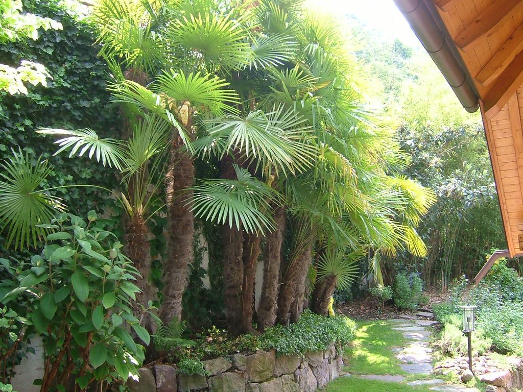 Villa Sissi Laives Dış mekan fotoğraf
